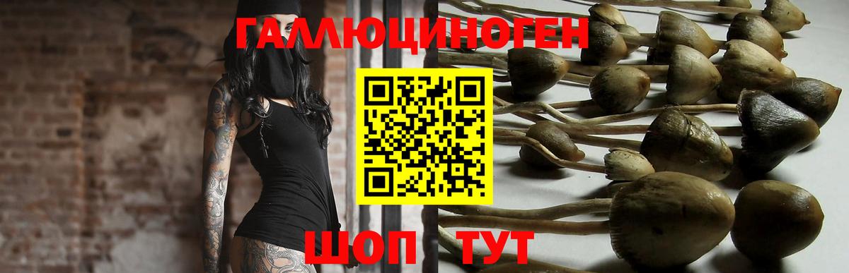 Псилоцибиновые грибы MAGIC MUSHROOMS  Вход с VPN  Орехово-Зуево 