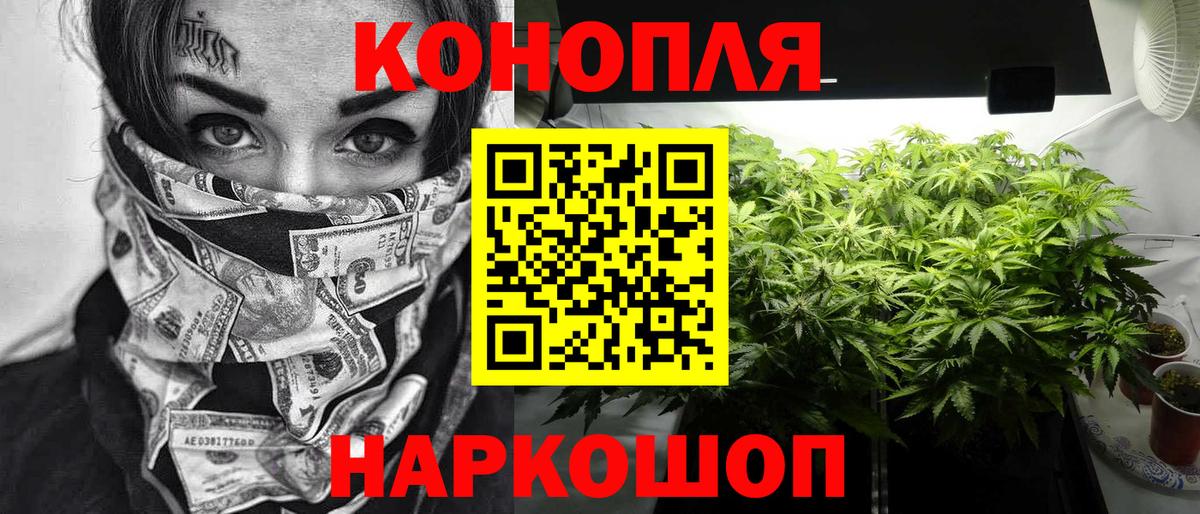 МАРИХУАНА ГИДРОПОН Орехово-Зуево